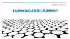 主动脉缩窄的转基因小鼠模型研究