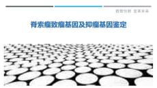 脊索瘤致瘤基因及抑瘤基因鉴定