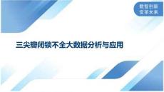 三尖瓣闭锁不全大数据分析与应用
