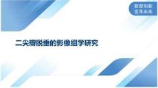 二尖瓣脱垂的影像组学研究