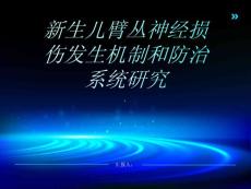 新生儿臂丛神经损伤发生机制和防治系统研究