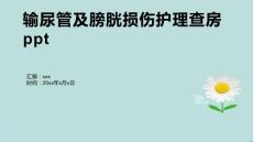 输尿管及膀胱损伤护理查房ppt