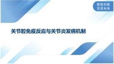 关节腔免疫反应与关节炎发病机制