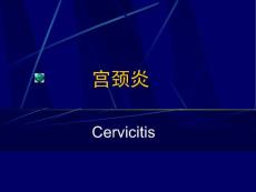 宫颈炎症.ppt宫颈炎.ppt