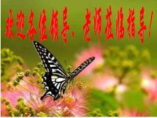 酸堿中和滴定（公開課精品課件）