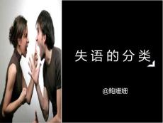 失语的分类ppt课件