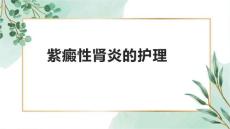 紫癜性肾炎的护理1