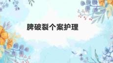 脾破裂个案护理