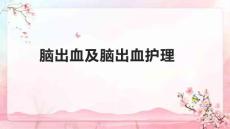 脑出血及脑出血护理1