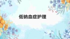 低钠血症护理