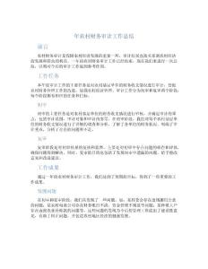 年农村财务审计工作总结