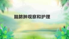 脑脓肿观察和护理