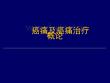 癌痛与癌痛治疗-课件