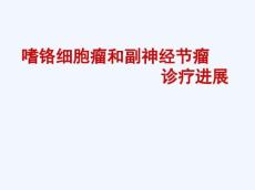 嗜铬细胞瘤的诊治