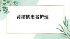 肾结核患者护理