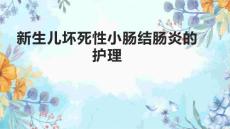 新生儿坏死性小肠结肠炎的护理