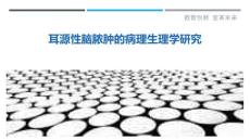 耳源性脑脓肿的病理生理学研究