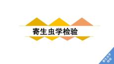 《寄生虫学检验》课件——弓形虫、隐孢子虫