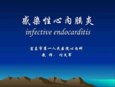 感染性心内膜炎讲课