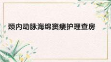 颈内动脉海绵窦瘘护理查房