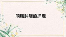 颅脑肿瘤的护理
