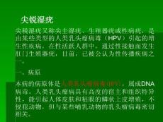 尖锐湿疣课件
