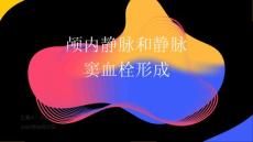颅内静脉和静脉窦血栓形成PPT