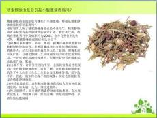 精索静脉曲张会引起小腹胀痛疼痛吗.ppt