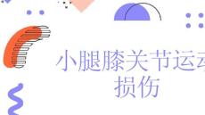 小腿膝关节运动损伤