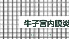 牛子宫内膜炎