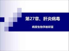 肝炎病毒