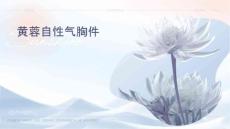 黄蓉自发性气胸课件