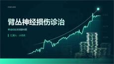 臂丛神经损伤诊治课件