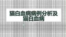 猫白血病病例分析及猫白血病