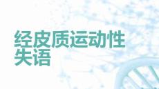 经皮质运动性失语