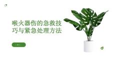 健康课堂之喉火器伤的急救技巧与紧急处理方法