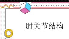 肘关节结构