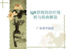 iga肾病指南解读