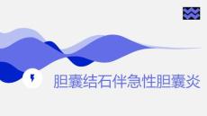 胆囊结石伴急性胆囊炎