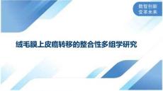 绒毛膜上皮癌转移的整合性多组学研究