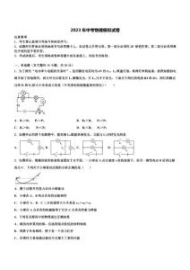 2022-2023學年浙江省臺州市臨海市中考物理仿真試卷含解析