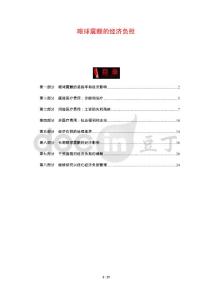 眼球震颤的经济负担
