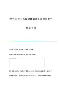 TEE引导下外科封堵卵圆孔未闭合并三房心1例