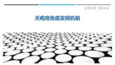天疱疮免疫发病机制