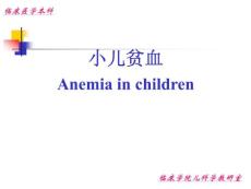 小儿贫血 PPT课件