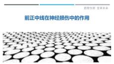 前正中线在神经损伤中的作用