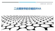 二尖瓣狭窄的非编码RNA