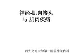肌病课件