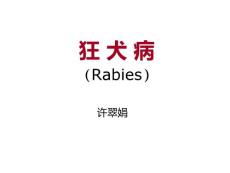 狂犬病课件