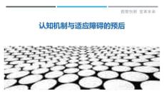 认知机制与适应障碍的预后